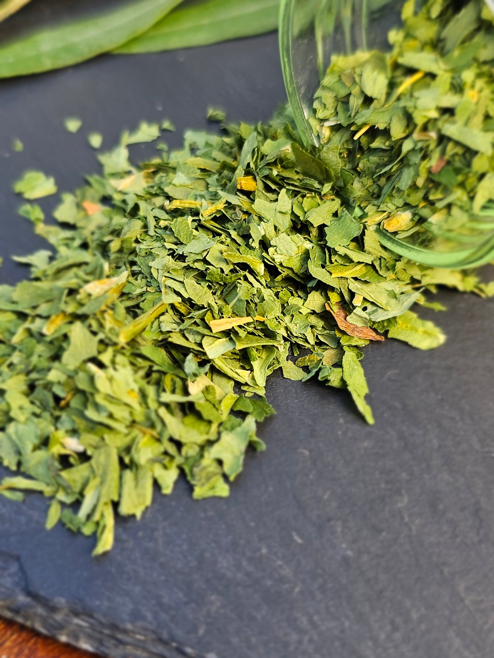 Bärlauchkraut geschnitten 10g - Berliner-Gewürzhaus-Manufaktur 