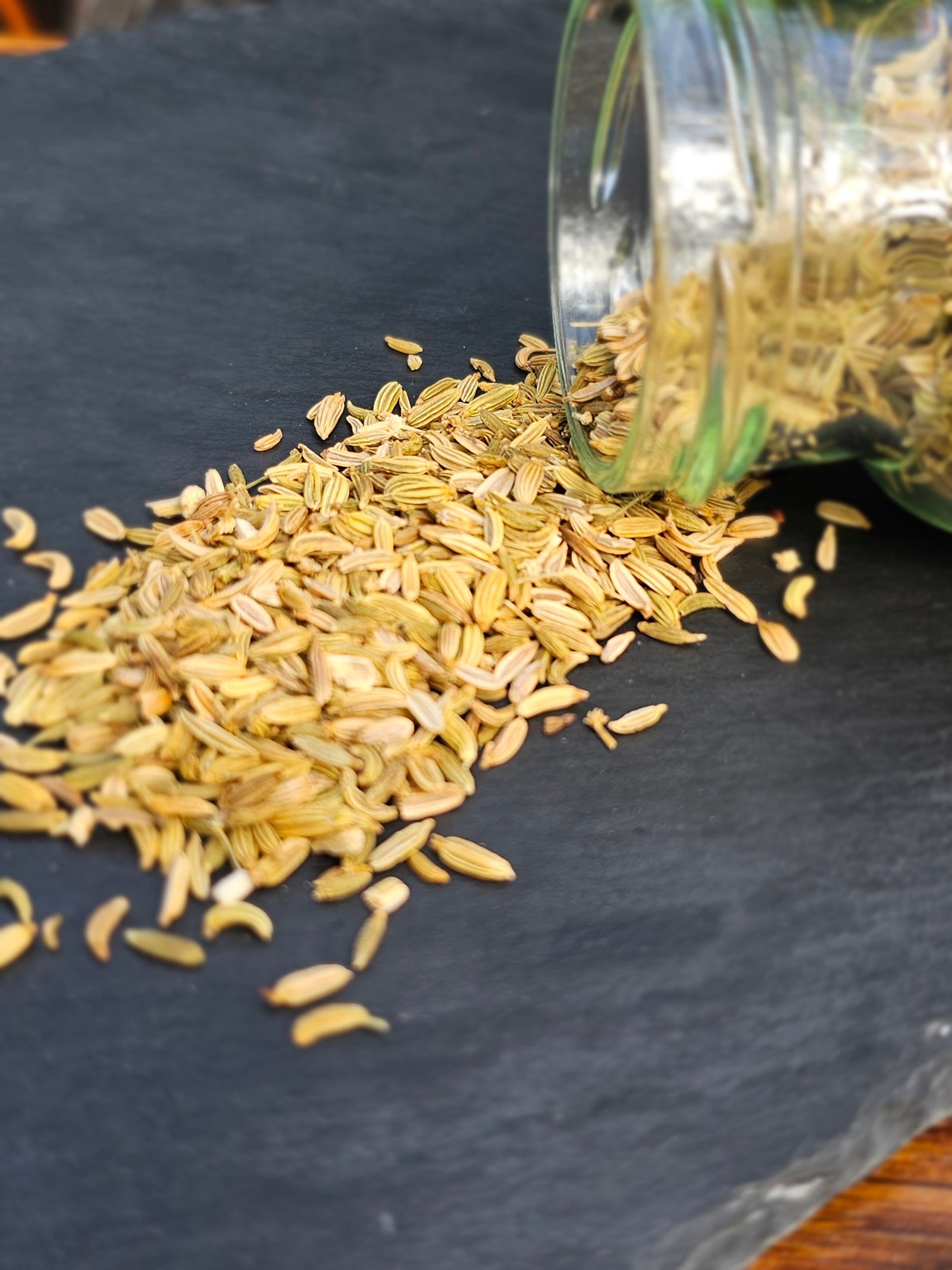 Fenchel ganz 60g - Berliner-Gewürzhaus-Manufaktur 