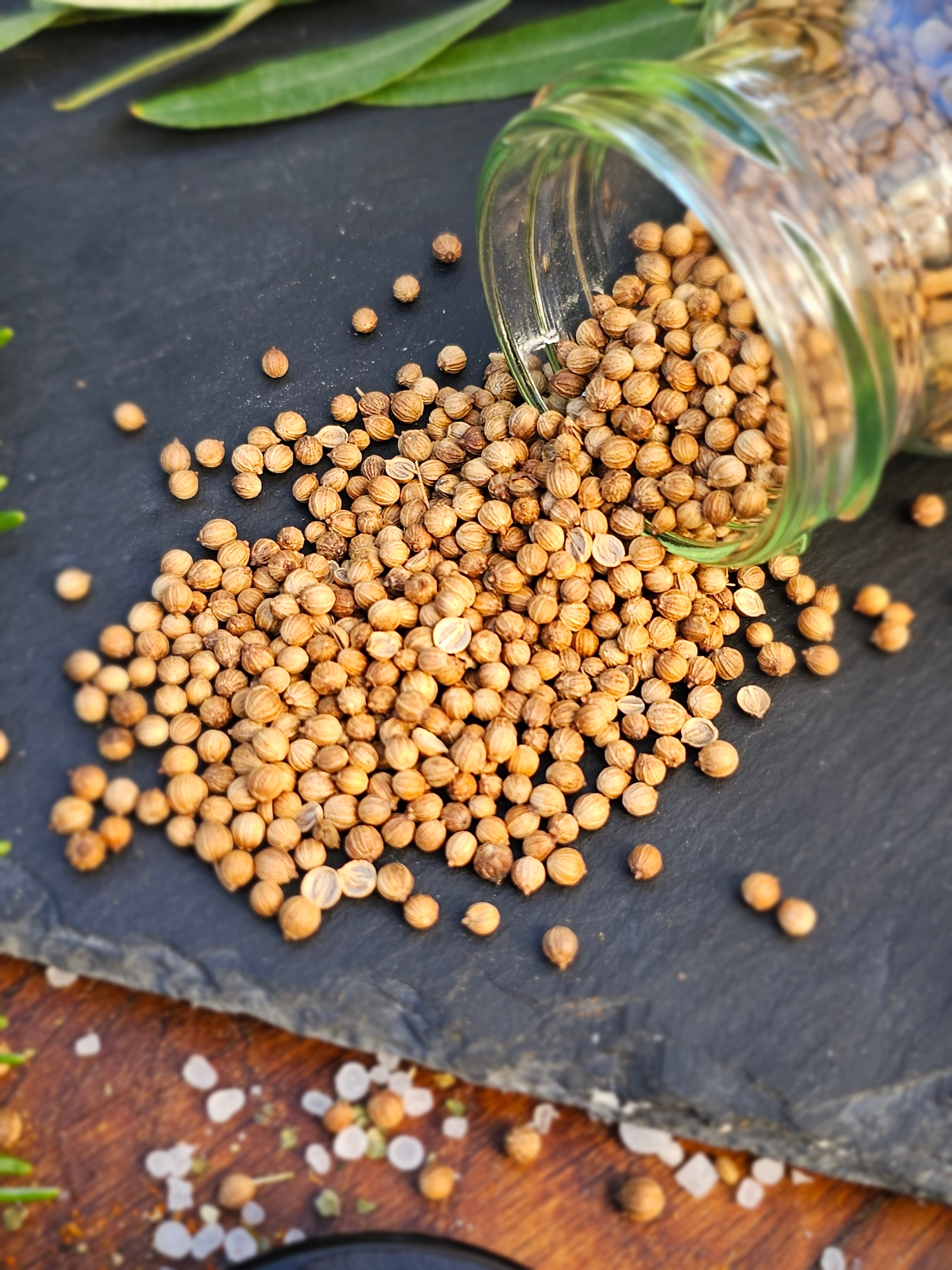 Koriander ganz 50g - Berliner-Gewürzhaus-Manufaktur 