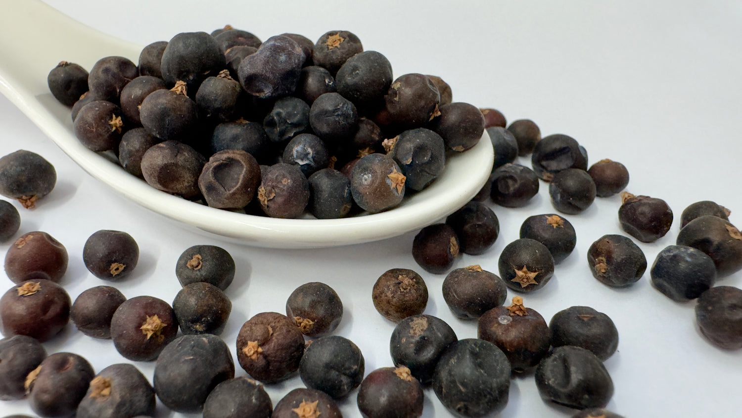 Wacholderbeeren ganz 50g - Berliner-Gewürzhaus-Manufaktur 